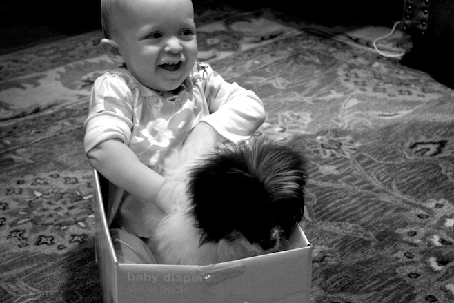 Ouest and Lulu
